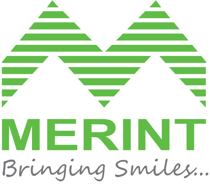 Merint Group